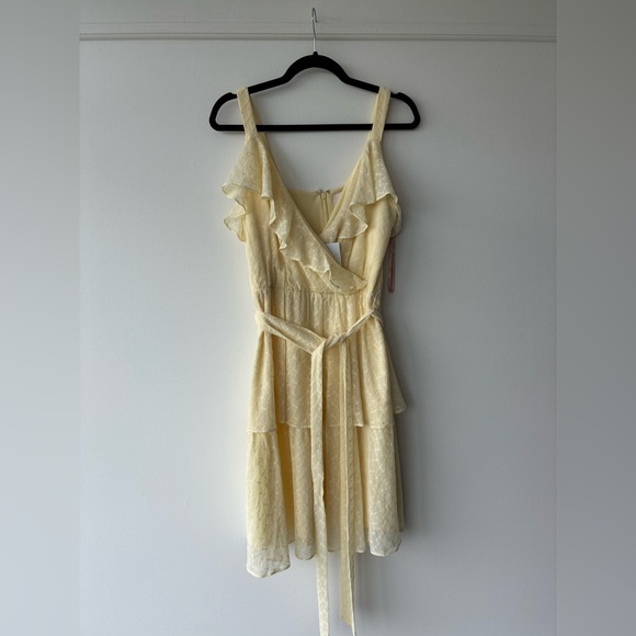 Gal Meets Glam Helena Eyelet Dress in Sunshine - Picture 6 of 11